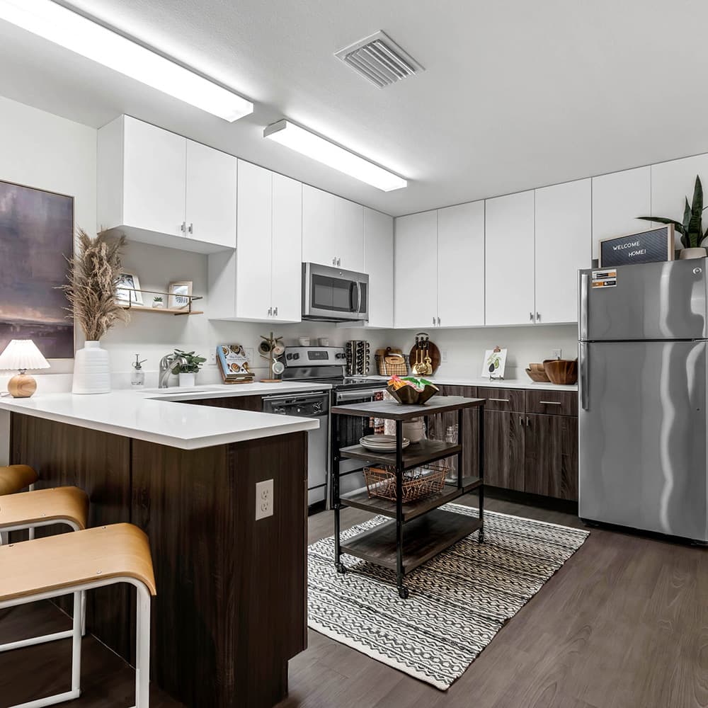 Kitchen-01-Social-28-Gainsville-FL