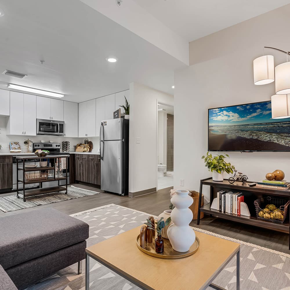 Living-Room-03-Social-28-Gainsville-FL