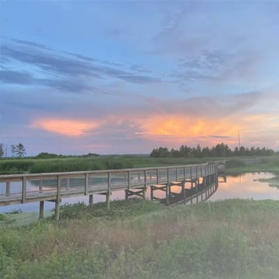Sweetwater-Wetlands-Park